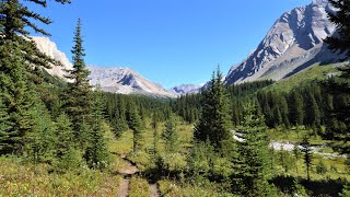 Hiking the Sawback Range  CANADIAN ROCKIES [upl. by Corie]