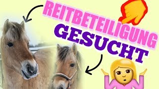 REITBETEILIGUNG GESUCHT  ZWEITES PFERD KAUFEN  EURE FRAGEN BEANTWORTE ICH JETZT [upl. by Larrabee]