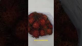 BUAH RAMBUTAN [upl. by Analeh]