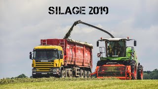 SILAGE 2019  Fendt Katana  Sadala Agro 🇪🇪 [upl. by Merideth]