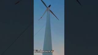 Wind power 🦅 video motivation king 👑 [upl. by Sedinoel]