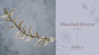 Bleached Ruscus Tutorial Gumpaste  Flower Paste [upl. by Aratihc]