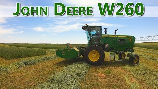 Six Swathers Working One Field Take A Look At What SIX John Deere W260s Can Do [upl. by Jahdiel]