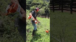 Desbrozadora Stihl FR 55R de 272 cc para cortar un tronco [upl. by Sudnor]