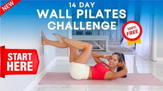 14 Day WALL PILATES CHALLENGE for Beginners Get Stronger Abs in 2024 [upl. by Revilo]