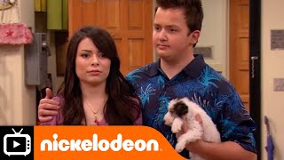 iCarly  Ham Over Everything  Nickelodeon UK [upl. by Nanny]