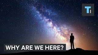 A Physicist Answers Why We Are Here [upl. by Kironde]