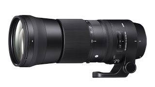 Nikon 70300mm or Sigma 150500mm Lens for My Nikon D750 [upl. by Bogusz639]