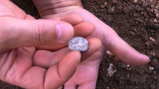 Discovery of the 15th Century BC Scarab at Khirbet elMaqatir Israel 6 [upl. by Zandt955]