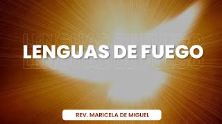 Lenguas de fuego [upl. by Daughtry374]