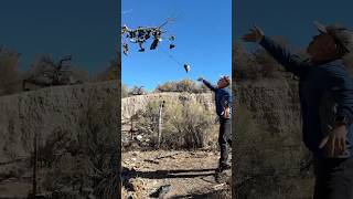 Throwing shoes onto the Shoe Tree is no easy task🤣 [upl. by Mccutcheon]