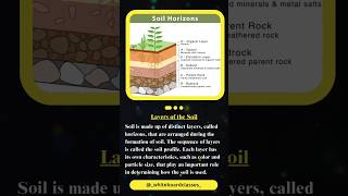 Layers of Soil soils youtubeshorts educationalvideo education [upl. by Oriane]