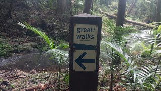 Conondale Range Great Walk [upl. by Onimixam310]