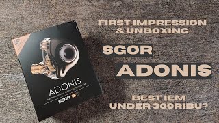 BEST IEM UNDER 300RIBU 2023 first impression amp unboxing  SGOR ADONIS [upl. by Gnot]