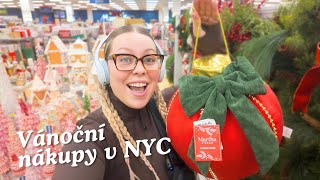 VÁNOČNÍ NÁKUPY V NEW YORKU  NYC diaries [upl. by Esadnac]