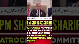 Mi shabazz Sharif Awami PM Pakistan [upl. by Llevert149]