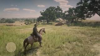 RDR2  Mysterious barking at Henningans Stead [upl. by Neille]