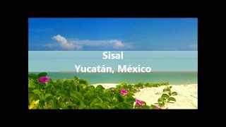 Sisal Yucatán  México [upl. by Aissak]