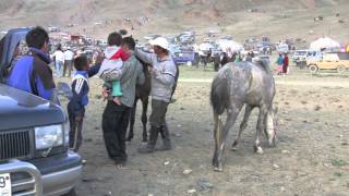 2009 18 Mongolia Bayan Olgii aimak Sagsay Naadam [upl. by Haleeuqa]