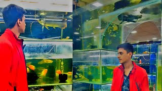 New Vlog Video  new arowana tank setup  arowana fish tank setup  fish aquarium setup [upl. by Terchie734]