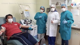 Bolivia recurre al plasma hiperinmune [upl. by Nyleve]