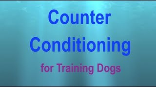 Counter Conditioning a Visual Explanation [upl. by Assyral314]