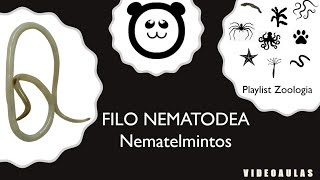 Filo Nematodea Nematelmintos [upl. by Atnad]