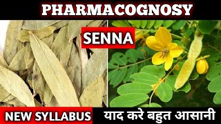 Senna Pharmacognosy  Laxative Drugs  DPharmacy New Syllabus [upl. by Jennette109]