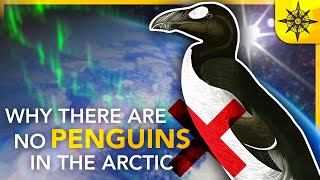 Why There Are NO Penguins in the Arctic  Island Biogeography 2 [upl. by Kendall]