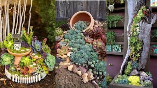 23 Awesome Succulent Porch Garden Ideas to Boost Curb Appeal [upl. by Ramaj]