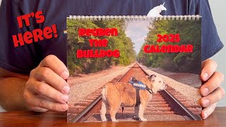 Reuben the Bulldog 2025 Calendar Unboxing [upl. by Branca]