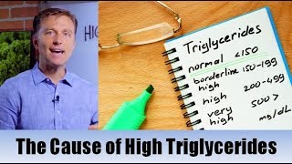 The True Cause of High Triglycerides – Dr Berg [upl. by Stephanus]