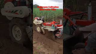 Sugarcane Cultivation With Power Tiller vst power tiller shorts tractorlovers [upl. by Sacken]