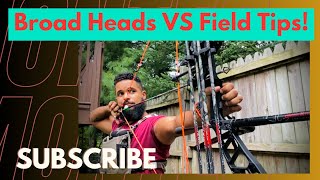 BroadHeads Vs FieldTips [upl. by Eelegna330]