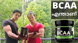 അടിപൊളി മസിൽസ് ഉണ്ടാവാൻ BCAA ആവശ്യമാണോWhat are BCAA Supplements And How Do They Works Malayalam [upl. by Kopple]