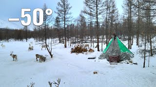 Life of Mongolia Nomads near the borders of Russia Tsaatan life in Mongolia in winter [upl. by Eiddam]