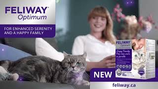 Feliway Optimum TV Advert  Canada  Fall  30S [upl. by Ettennod]