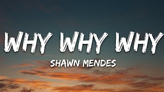 Shawn Mendes  Why Why Why Lyrics [upl. by Yanffit]