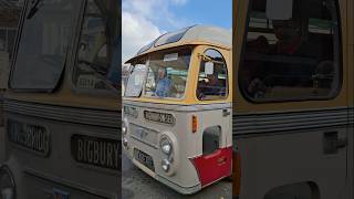 AEC Reliance  890 ADV KINGSBRIDGE SouthDevon 🇬🇧 bus buses vintagebus travel retro heritage [upl. by Geminian255]