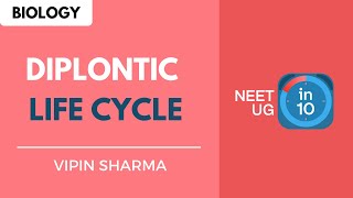 Diplontic Life Cycle  NEET Biology  NEET UG in 10 [upl. by Ahsiekam]