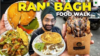 Exploring the Best Food Options in Rani Bagh Pitampura Delhi Food Walk [upl. by Rew896]