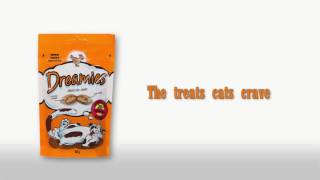 Cute Cat  Dreamies TV Ad  Spoof [upl. by Arabel]