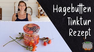 Hagebutten Tinktur Rezept  Stärkt das Immunsystem [upl. by Heise223]