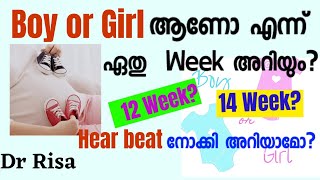 Gender prediction Malayalam  If Ultrasound Show Baby Gender [upl. by Swamy]