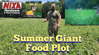 Summer Gaint Food Plot  Nixa Hardware Food Plots [upl. by Olive706]