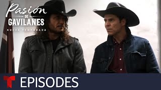 Pasión de Gavilanes New Season  Episode 5  Telemundo English [upl. by Yorke]