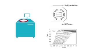 Introduction to Analytical Ultracentrifugation AUC 101 [upl. by Lianne]