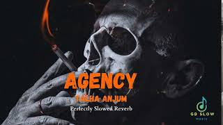 Agency  Perfectly Slowed Reverb Talha Anjum Rap Demon Pro  GB Slow Music [upl. by Akzseinga]