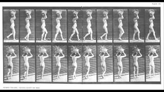 Cronolectura de la Cronofotografía de EADWEARD MUYBRIDGE  Antonio Ferreira [upl. by Simson]