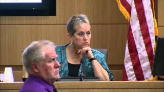 Jodi Arias Murder Trial  Day 42  Part 2  Juan Martinez cross of Alyce LaViolette [upl. by Nylkcaj33]